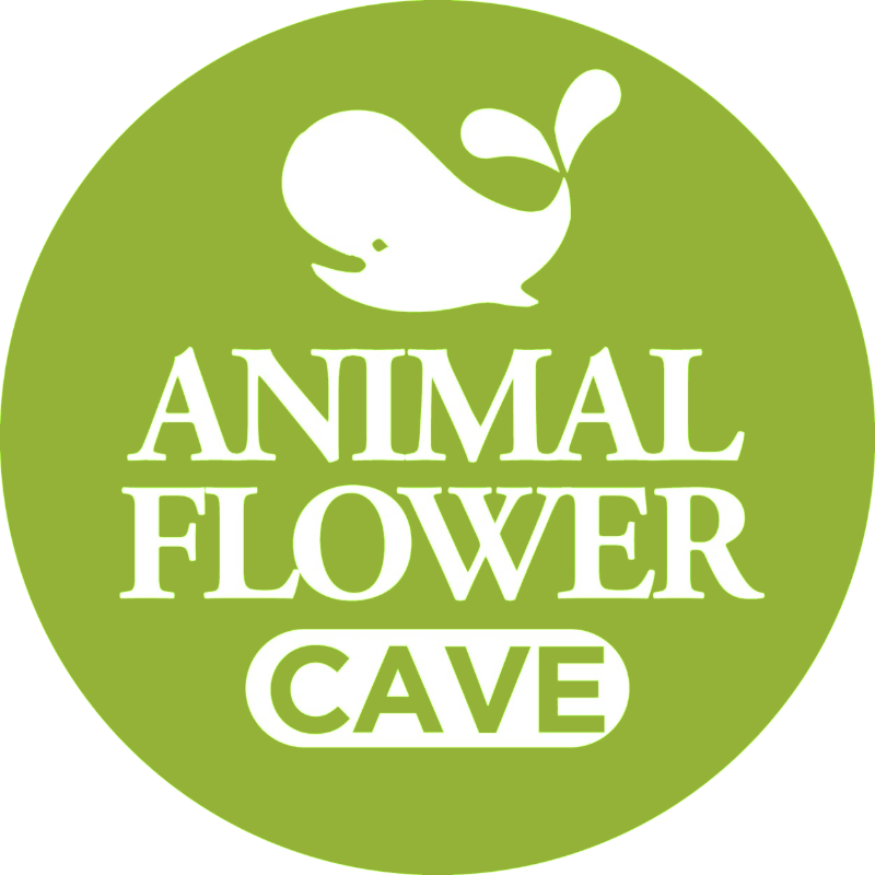 Animal Flower Cave